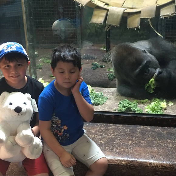 Meet Me, Miranda owner of Distressed Beauty Boutique! - Picture 8 of 16